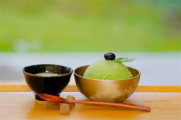 【2025年最新】あなたの誕生月にぴったりな観葉植物12選！私が選んだ理由と育て方のコツ
