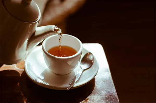 紅枝山茱萸の剪定方法を完全ガイド！動画で見るプロのコツ